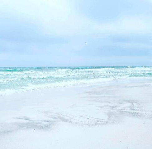 141 Valdare Lane, Inlet Beach, FL 32461