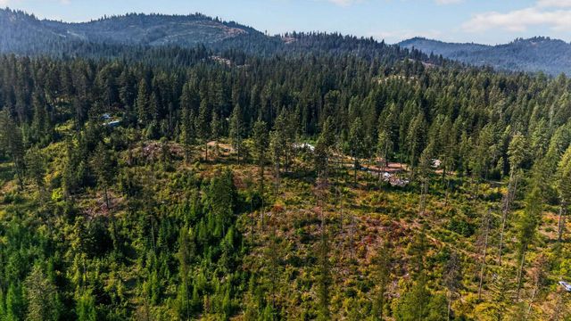 283 apling Ln, Newport, WA 99156