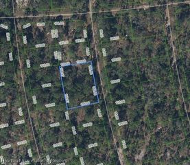 212 Sentimental Drive, Lake Placid, FL 33852