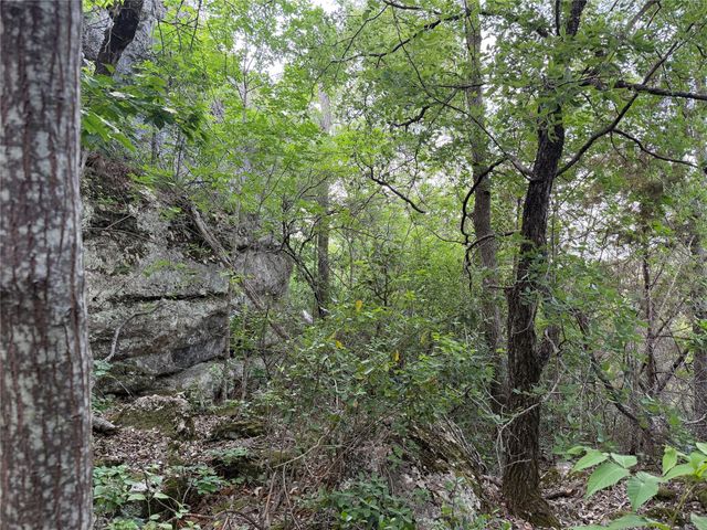 8219 Hammetts Crossing XING, Round Mountain, TX 78663