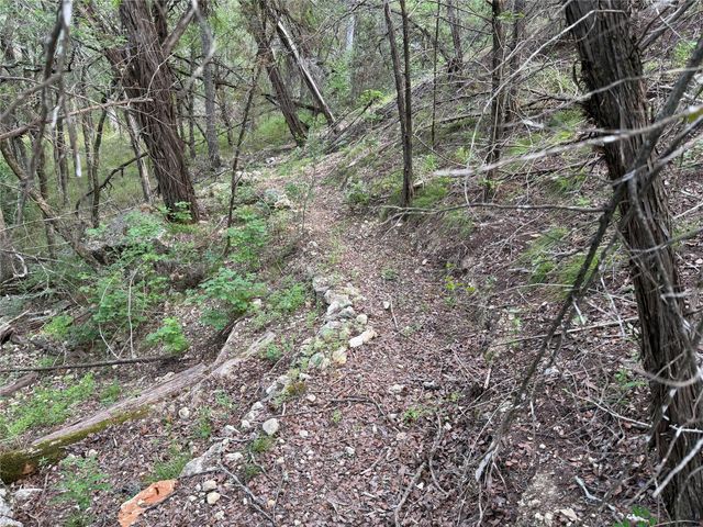 8219 Hammetts Crossing XING, Round Mountain, TX 78663