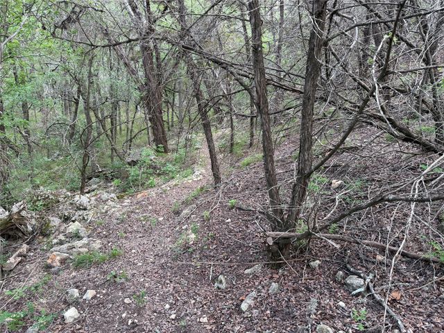 8219 Hammetts Crossing XING, Round Mountain, TX 78663