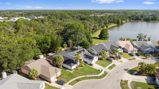 11651 SUNSHINE POND ROAD, Tampa, FL 33635