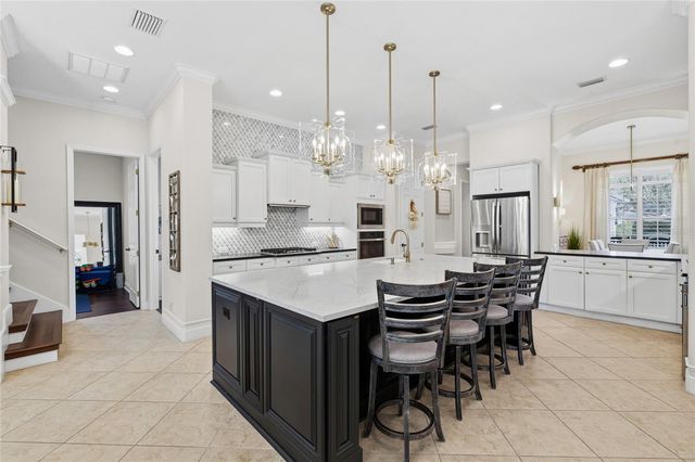 6113 AUDUBON MANOR BOULEVARD, Lithia, FL 33547