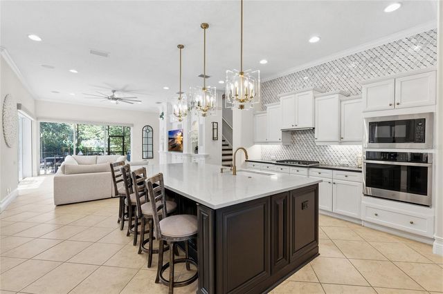 6113 AUDUBON MANOR BOULEVARD, Lithia, FL 33547