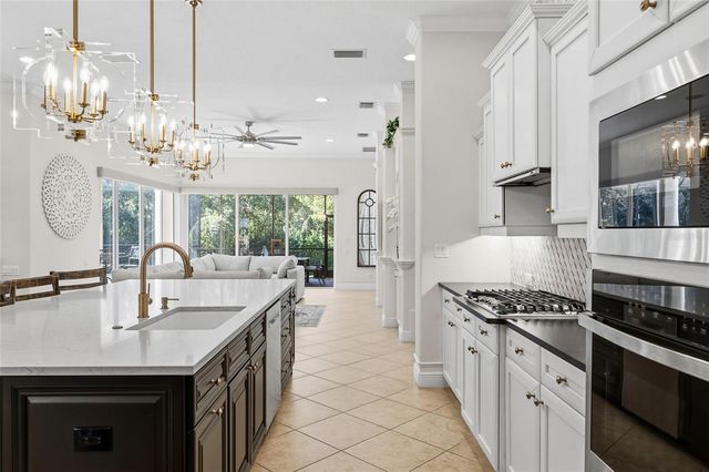 6113 AUDUBON MANOR BOULEVARD, Lithia, FL 33547