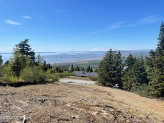 L22 Lost Horizon Drive, Anchorage, AK 99516