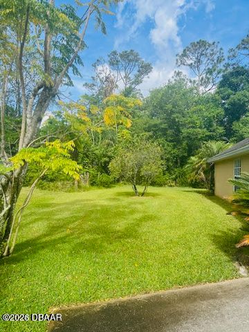 4 Lonetree Look, Ormond Beach, FL 32174