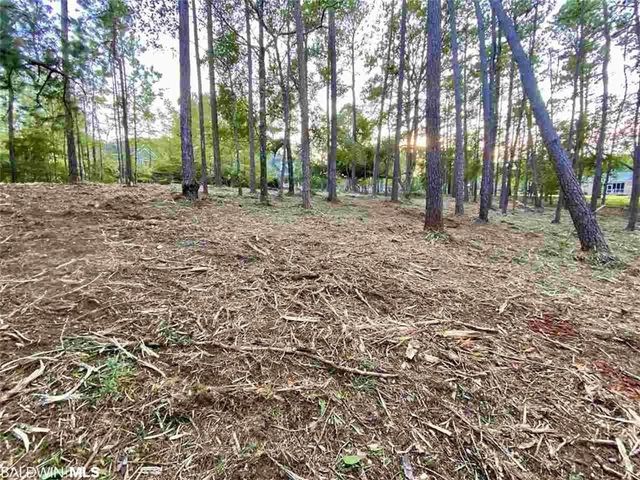 0 Blakeley Oaks Drive, Spanish Fort, AL 36527