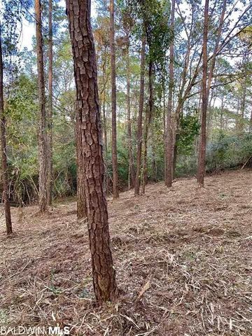 0 Blakeley Oaks Drive, Spanish Fort, AL 36527