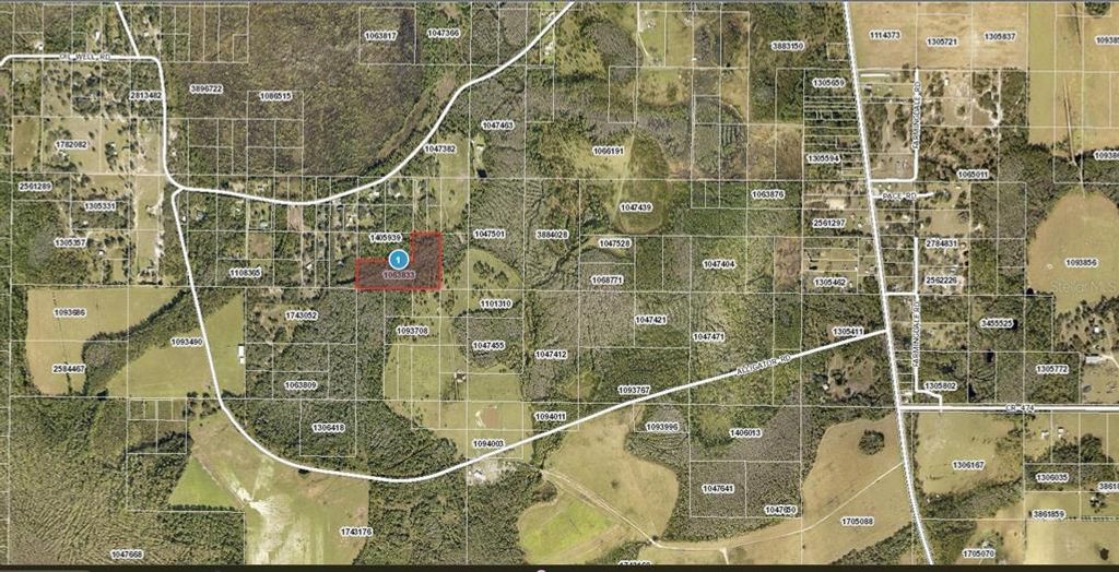 OIL WELL ROAD, Clermont, FL 34714