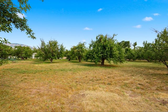 21 E Alary Lane, Corrales, NM 87048