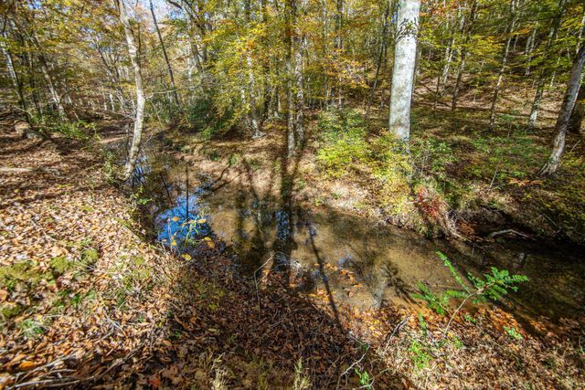 2411 KEAZEY HOLLOW RD, Waynesboro, TN 38485