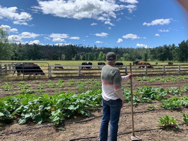 11847 Oak Run Road, Oak Run, CA 96069