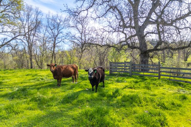 11847 Oak Run Road, Oak Run, CA 96069