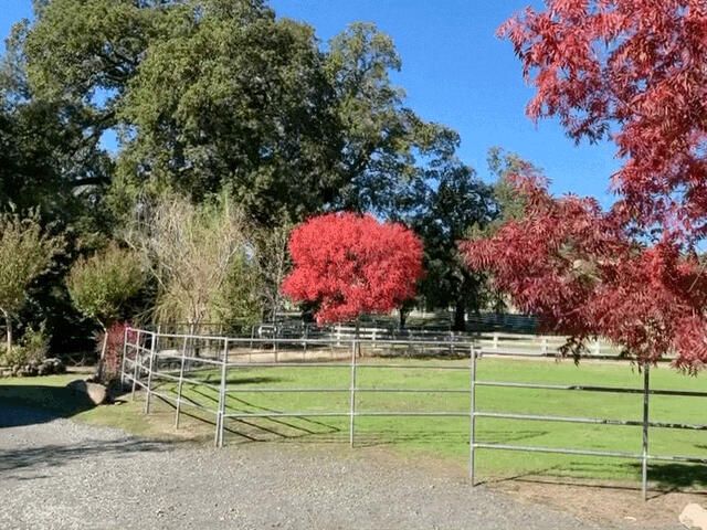 11847 Oak Run Road, Oak Run, CA 96069