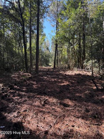 Off Earl Price Road, Deep Run, NC 28525