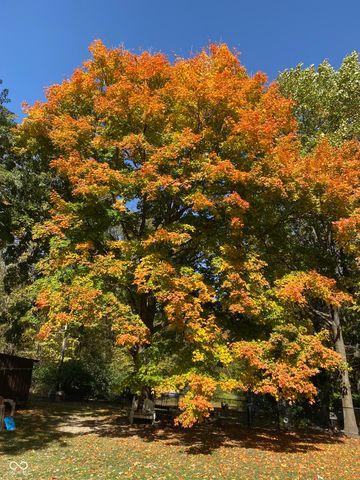 5808 E County Road 150 N, Avon, IN 46123