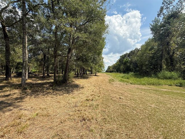 384 County Road 4017, Dayton, TX 77535