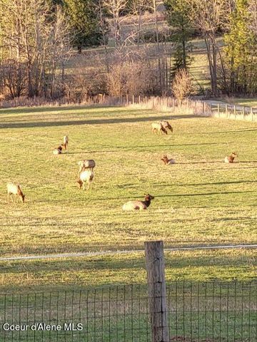 25024 N Derting Rd, Hayden, ID 83835