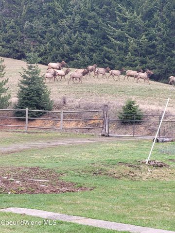 25024 N Derting Rd, Hayden, ID 83835
