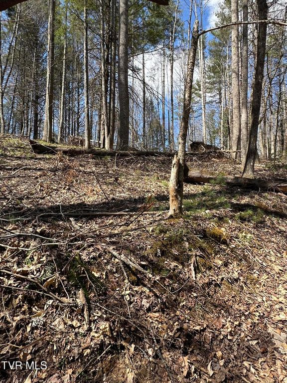 400 Woodchuck Way, Laurel Bloomery, TN 37680