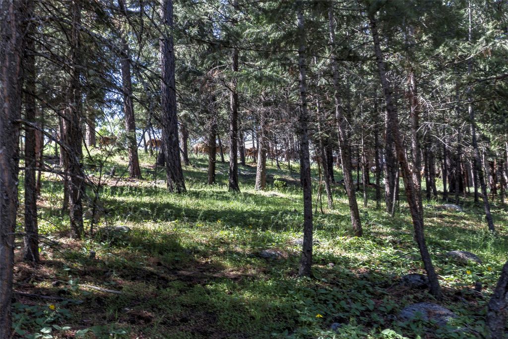 246 Coal Mine Road, Darby, MT 59829 photo 125