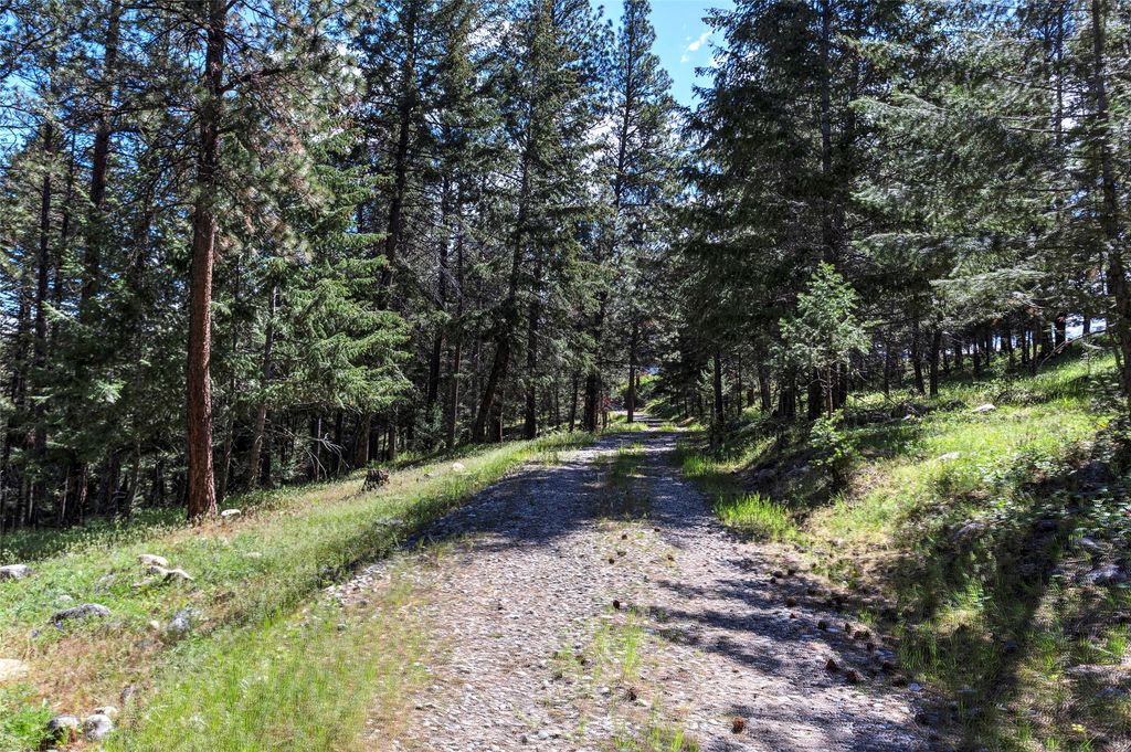246 Coal Mine Road, Darby, MT 59829 photo 126