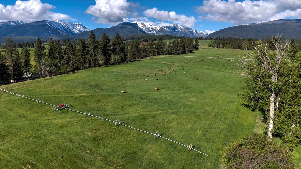 246 Coal Mine Road, Darby, MT 59829 photo 22