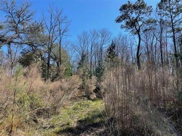 7887 Mary Seabrook Road, Edisto Island, SC 29438