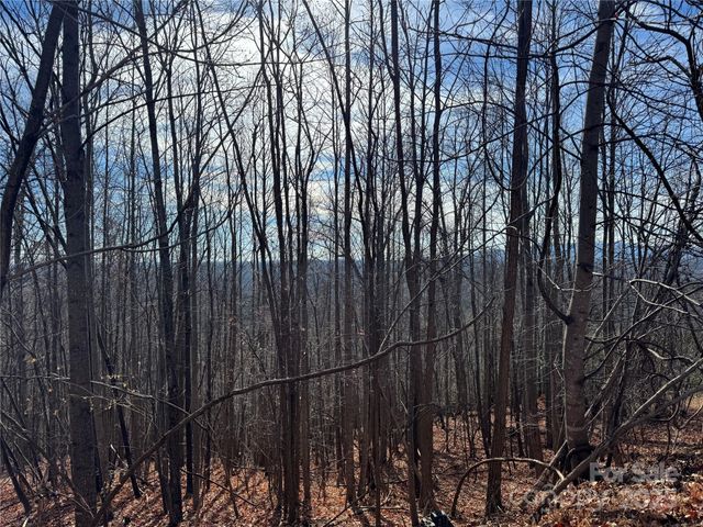 0 High Rock Ridge 22, Lake Lure, NC 28746