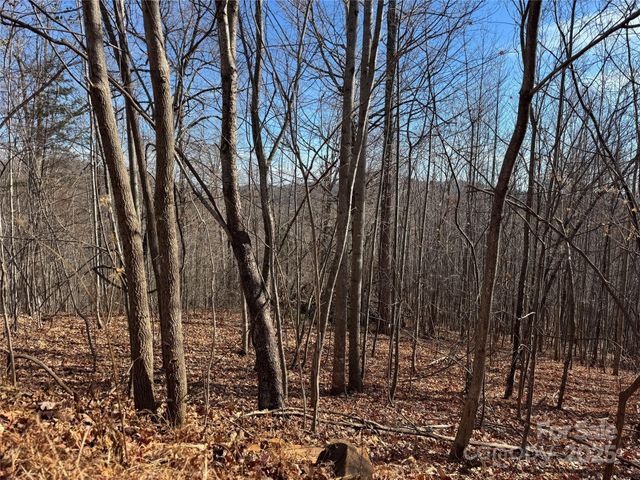 0 High Rock Ridge 22, Lake Lure, NC 28746