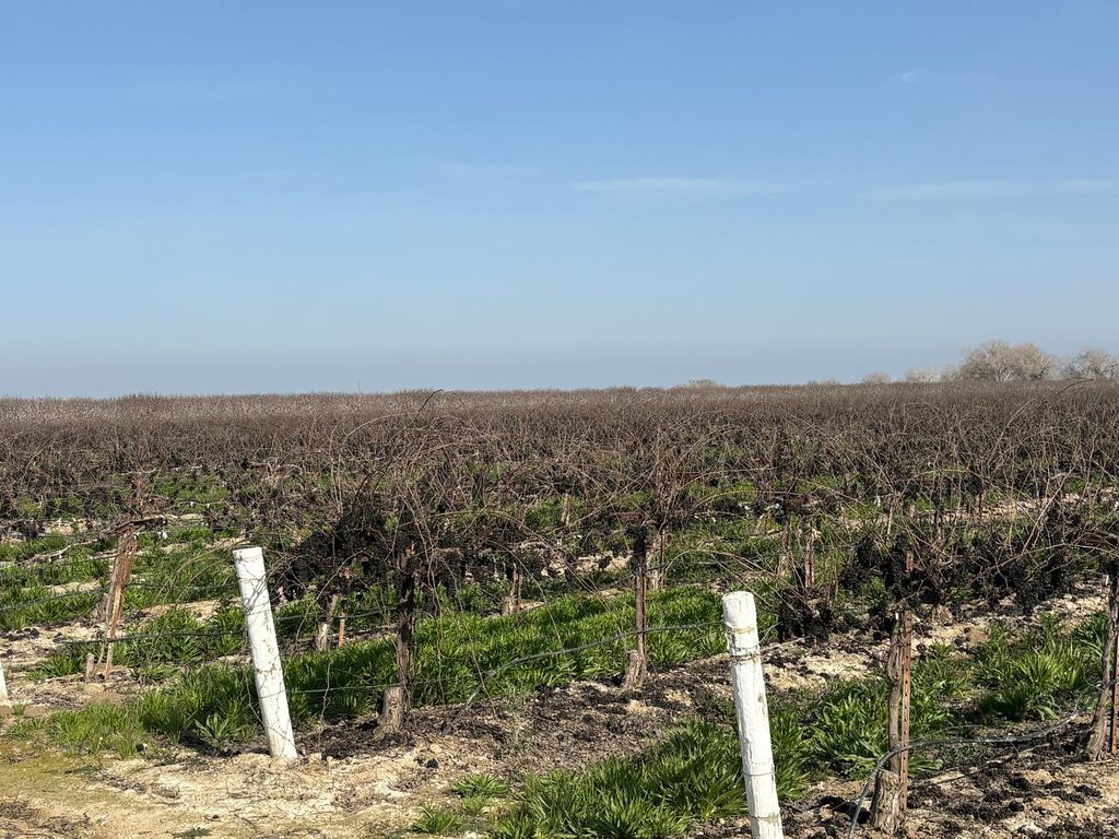 17600 Jerrold, Mendota, CA 93640