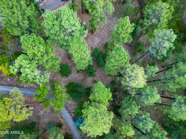 1301 S Lakeside Trail, Show Low, AZ 85901