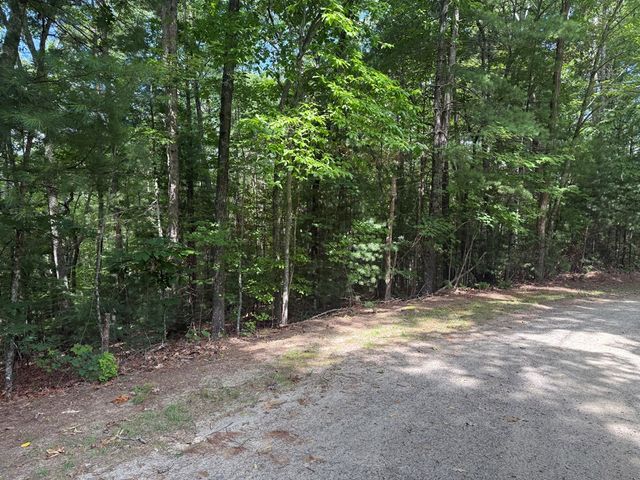 0 Guy Eller Road, Murphy, NC 28906