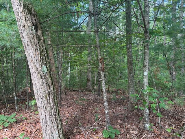 0 Guy Eller Road, Murphy, NC 28906