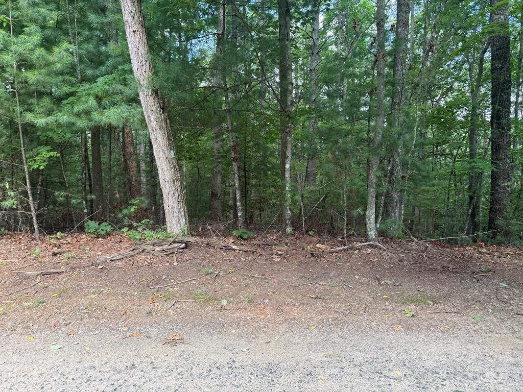 0 Guy Eller Road, Murphy, NC 28906