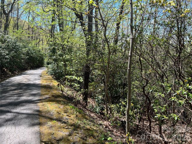 99999 Summer Haven Road, Swannanoa, NC 28778