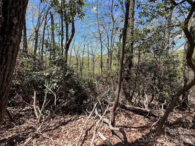99999 Summer Haven Road, Swannanoa, NC 28778