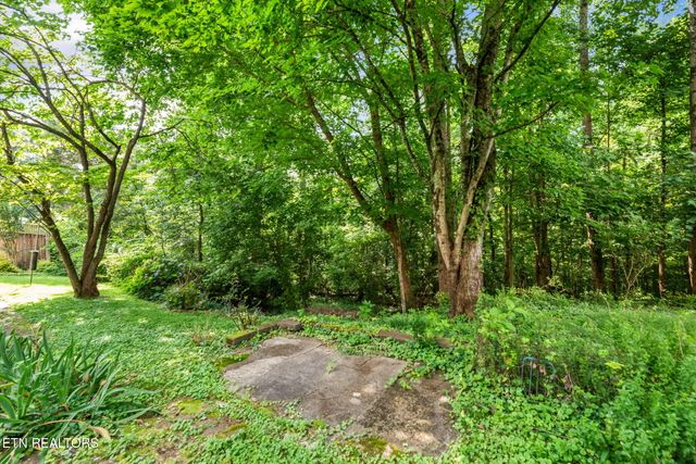 173 California Ave, Oak Ridge, TN 37830