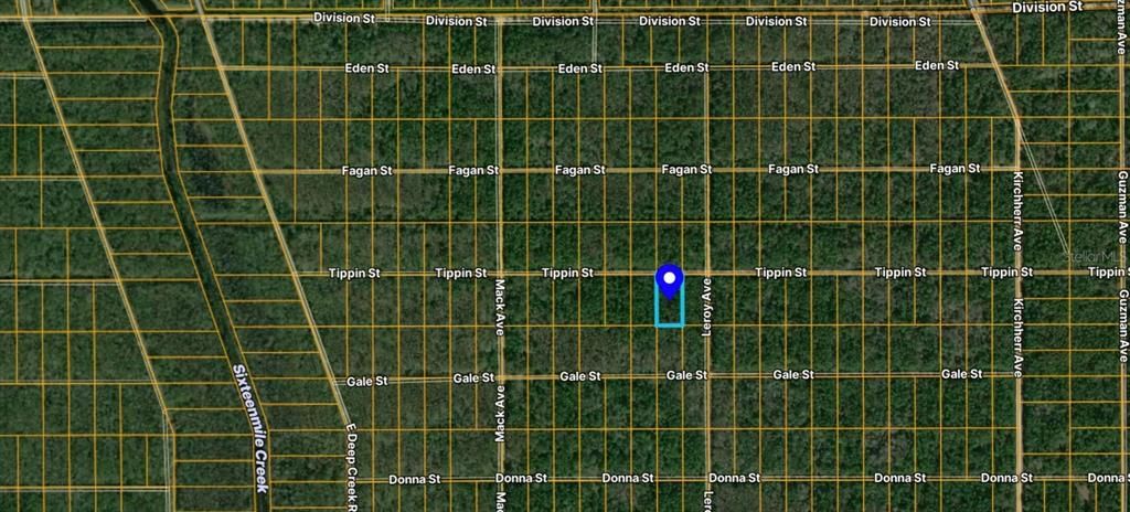 0 TIPPIN STREET, Hastings, FL 32145