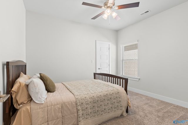 28606 Halford Drive, Madison, AL 35756