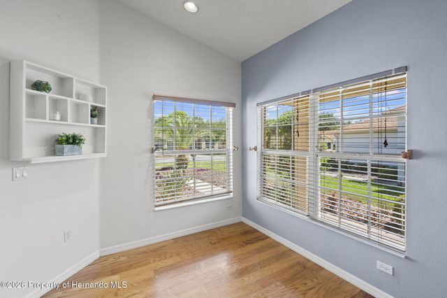 11078 Heathrow Avenue, Spring Hill, FL 34609