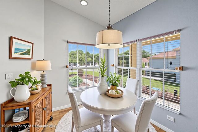 11078 Heathrow Avenue, Spring Hill, FL 34609