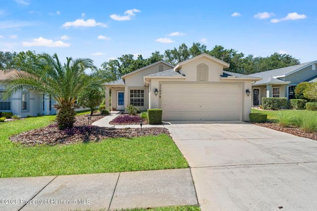 11078 Heathrow Avenue, Spring Hill, FL 34609