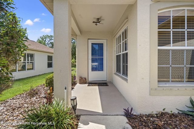 11078 Heathrow Avenue, Spring Hill, FL 34609
