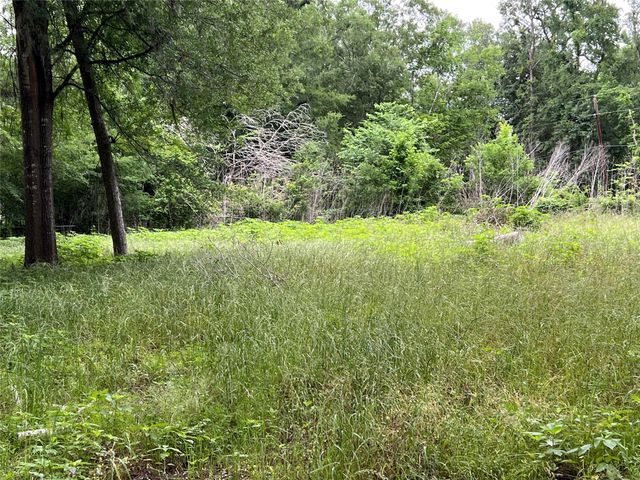 1031 Martinez Street, Coldspring, TX 77331