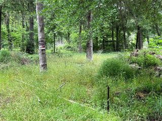 1031 Martinez Street, Coldspring, TX 77331