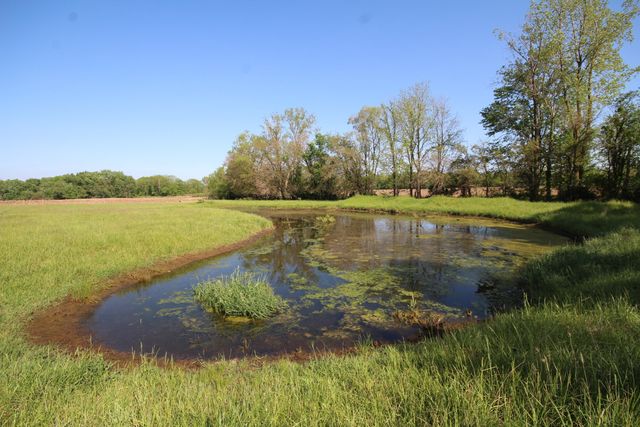 15168 S 37th Street, Wakeshma Twp, MI 49097