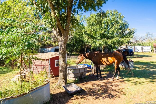 461 Shortys Ln, Fredericksburg, TX 78624